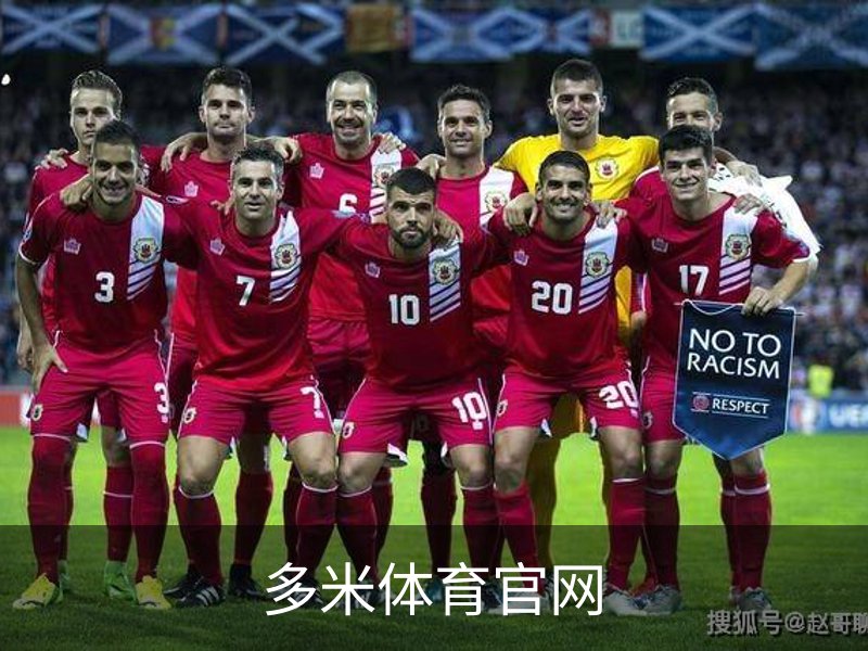 多米体育官网概况
